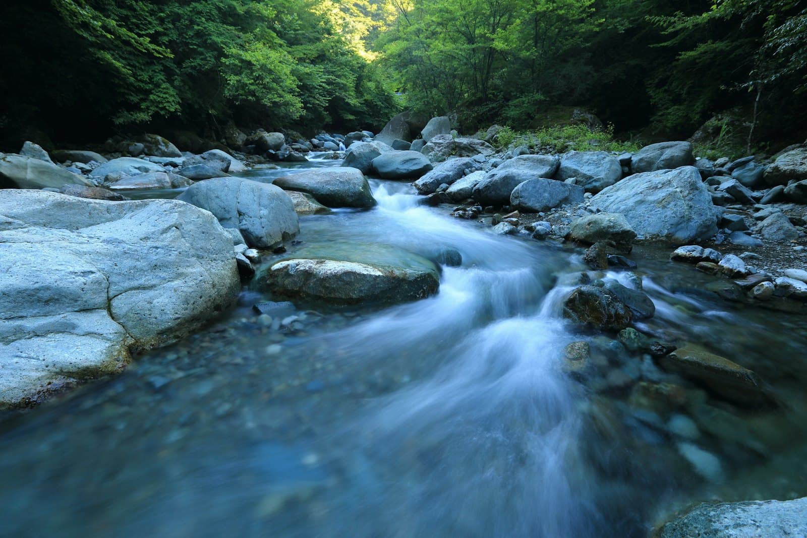 Freshwater catchment in motion · illustrative
