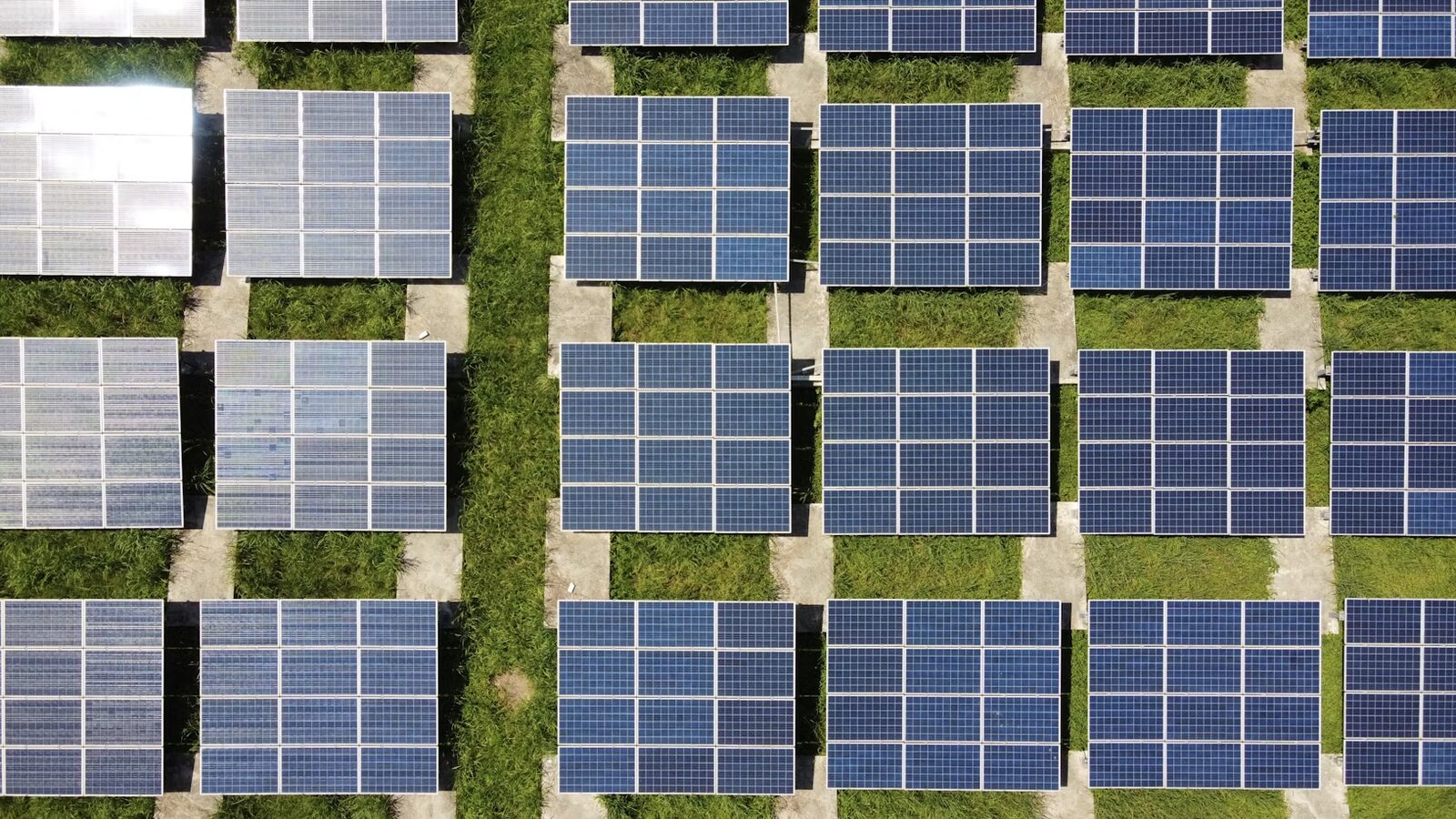 Aerial view of rows of solar panels on grass
