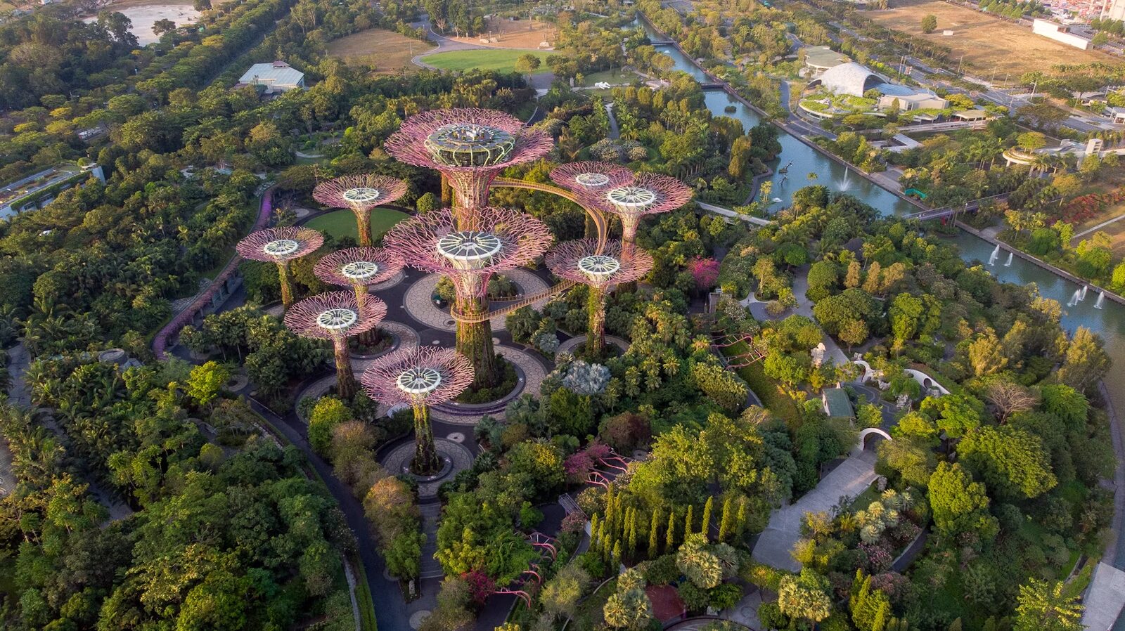Aerial view of the Supertree Grove at Gardens by the Bay, Singapore